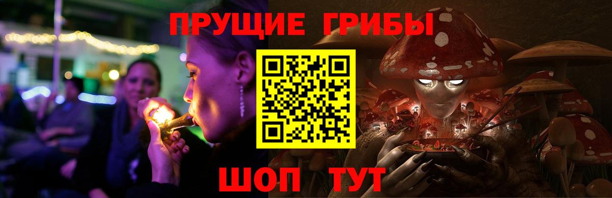 Псилоцибиновые грибы ЛСД Буйнакск
